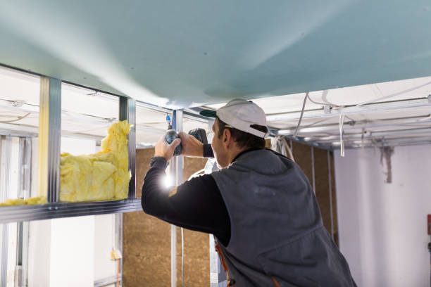 Professional Insulation Contractor in Severance, CO