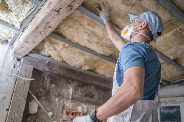 Best Insulation Contractors for Homes  in Severance, CO