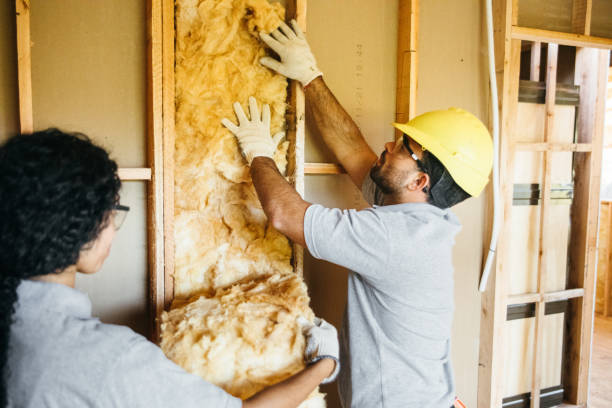 Best Best Insulation Companies  in Severance, CO