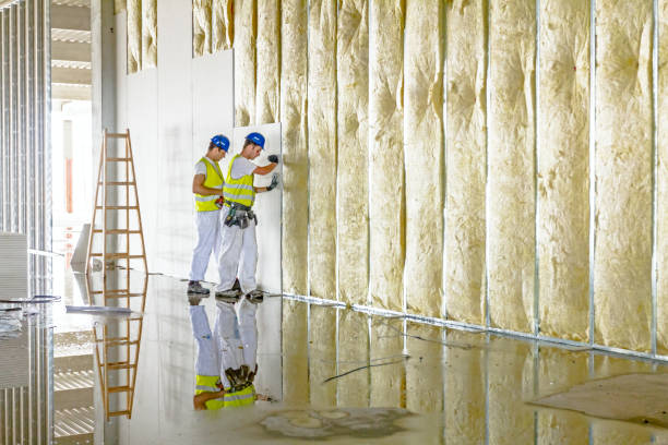 Best Spray Foam Insulation  in Severance, CO